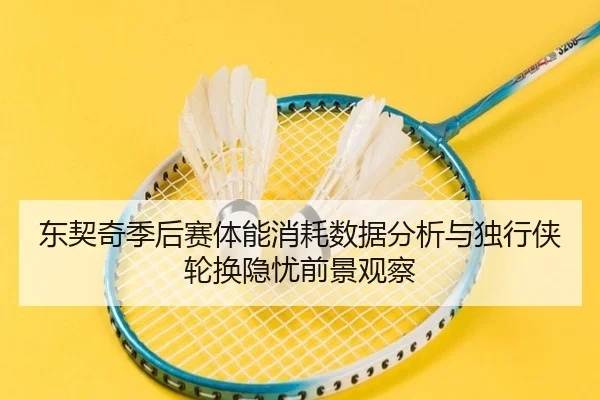 东契奇季后赛体能消耗数据分析与独行侠轮换隐忧前景观察