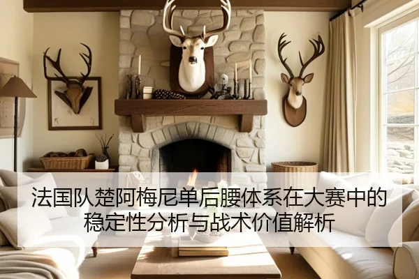 法国队楚阿梅尼单后腰体系在大赛中的稳定性分析与战术价值解析