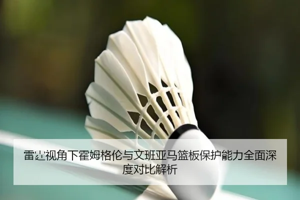 雷霆视角下霍姆格伦与文班亚马篮板保护能力全面深度对比解析